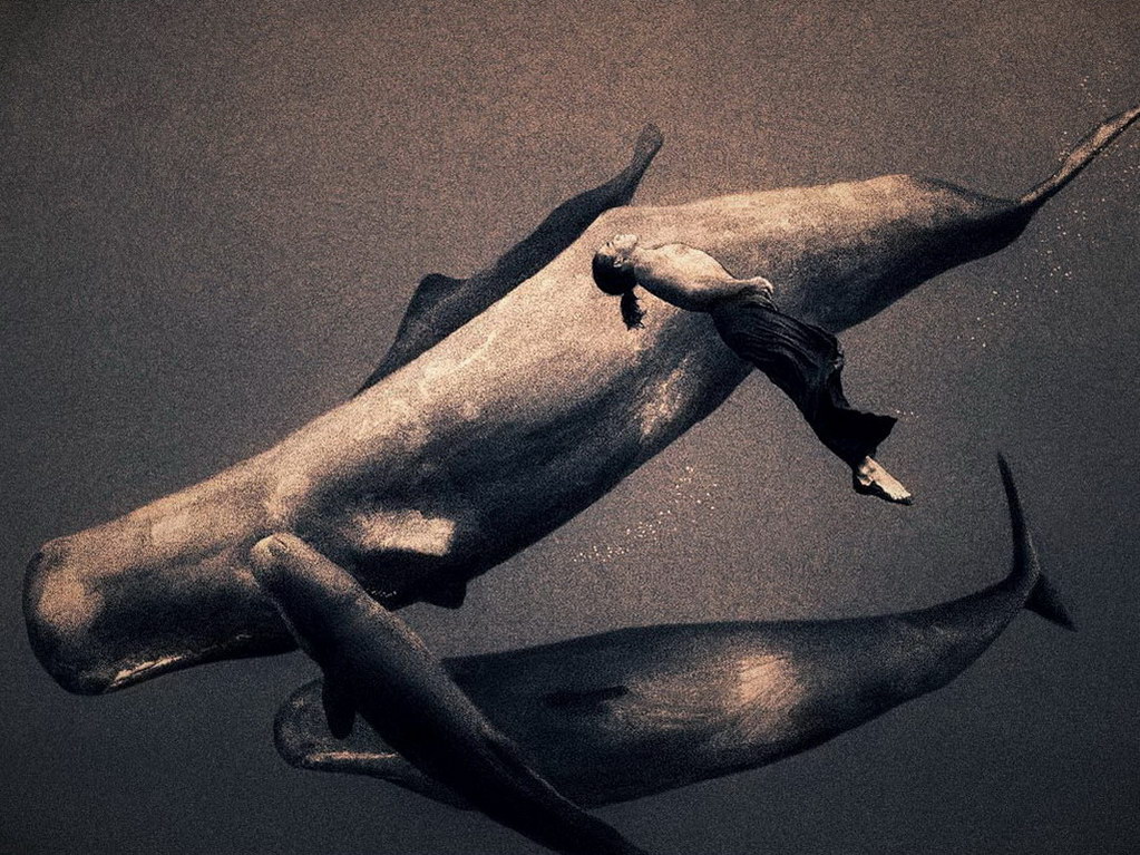 Croix de Lumière, Photo Ashes and snow No 101 