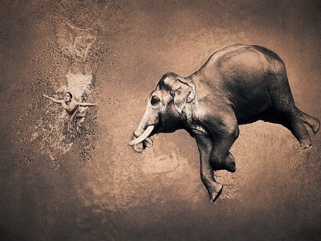 Croix de Lumière, Photo Ashes and snow No 102 