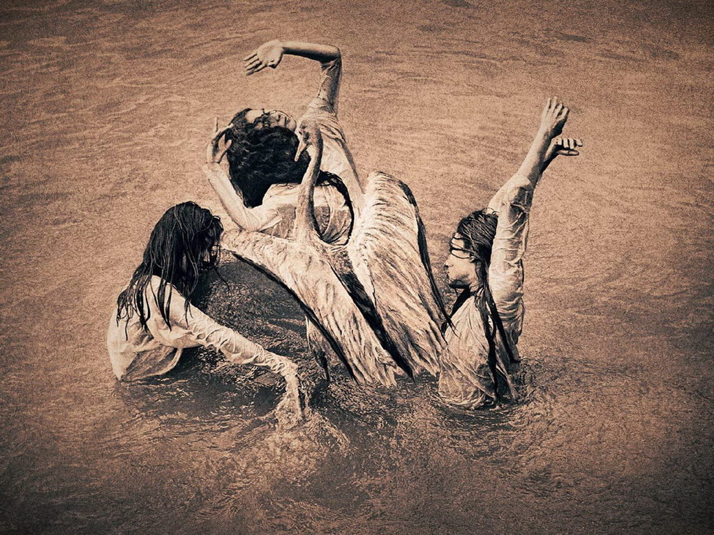 Croix de Lumière, Photo Ashes and snow No 108 