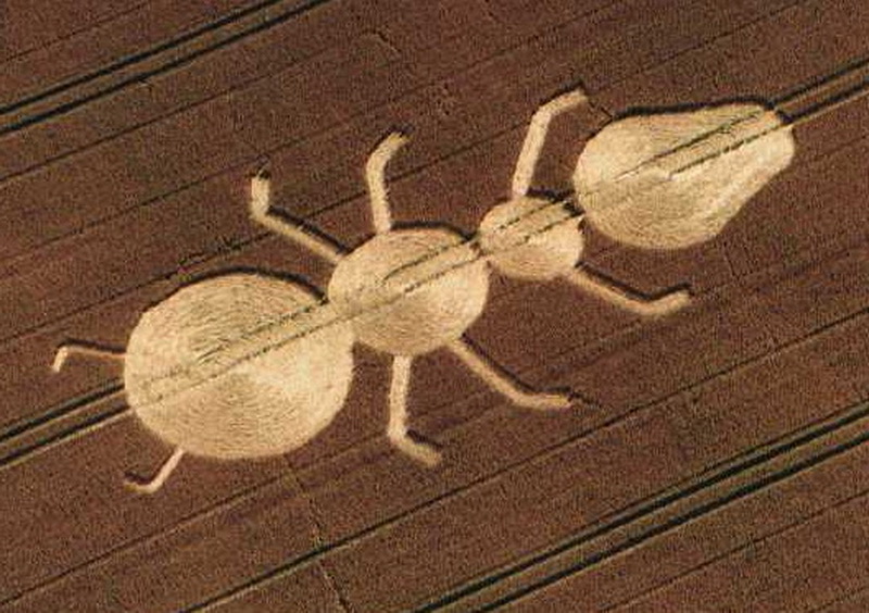 Croix de Lumière, Photo de la Série Crop-circle No 2 