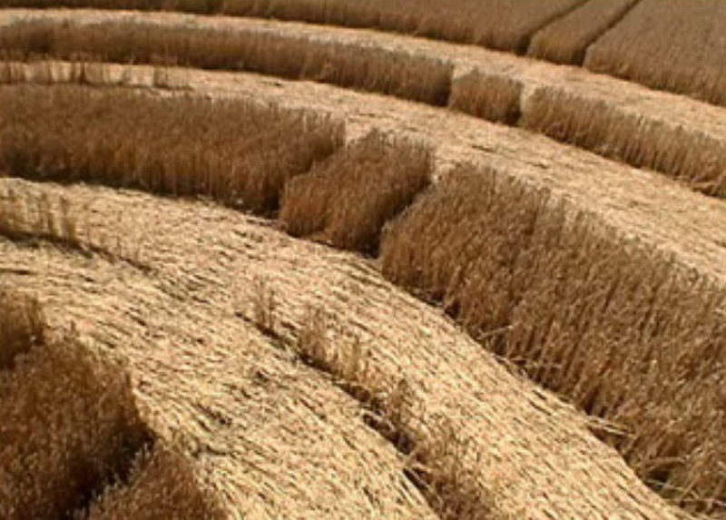 Croix de Lumière, Photo de la Série Crop-circle No 40 