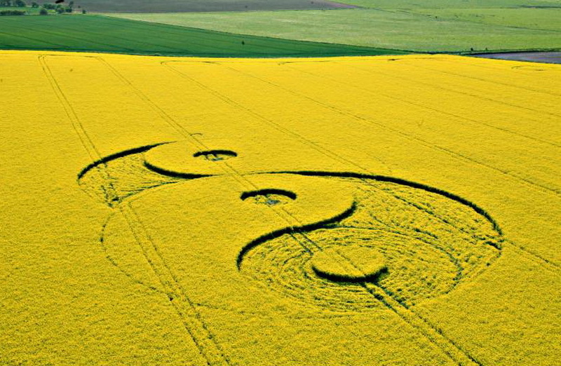 Croix de Lumière, Photo de la Série Crop-circle No 71 