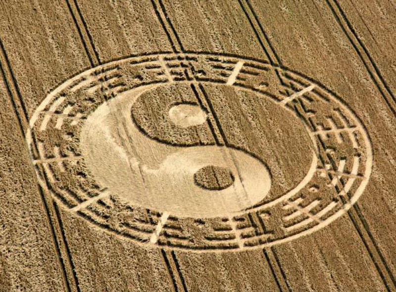 Croix de Lumière, Photo de la Série Crop-circle No 81 