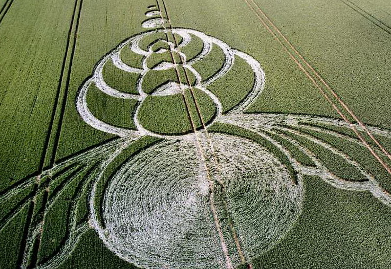Croix de Lumière, Photo de la Série Crop-circle No 98 