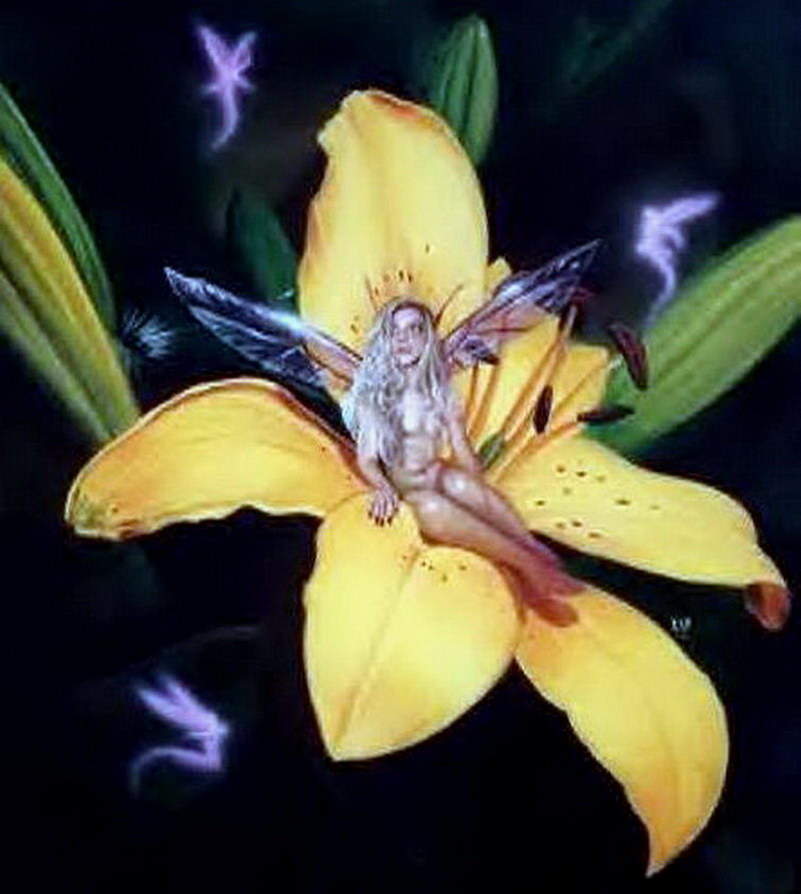 Image de Fée d'Isapierre Série A No 3 