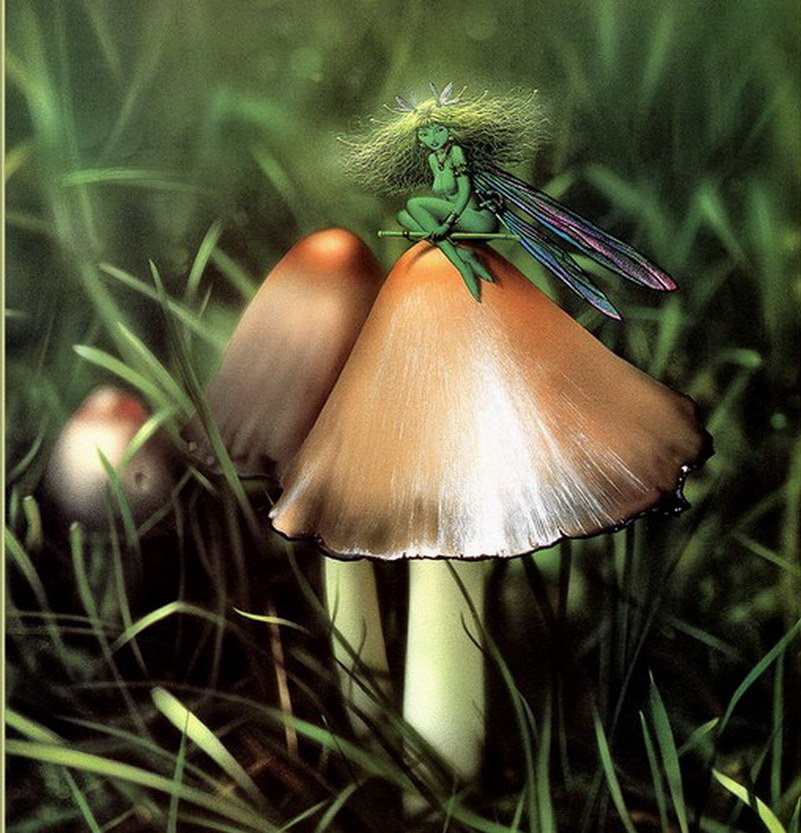 Image de Fée d'Isapierre Série A No 14 