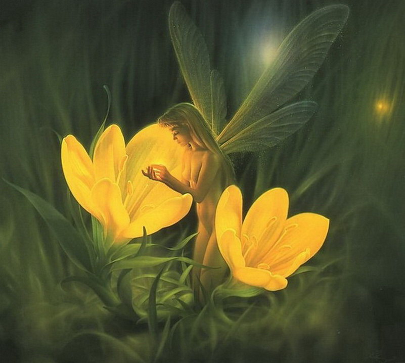 Image de Fée d'Isapierre Série A No 16 