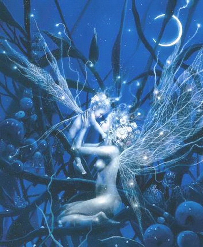 Image de Fée d'Isapierre Série A No 25 