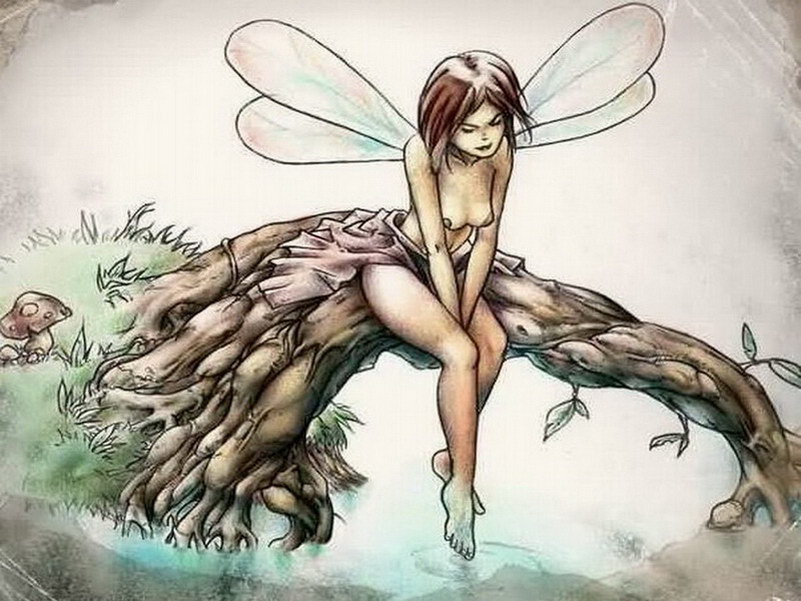 Image de Fée d'Isapierre Série A No 30 