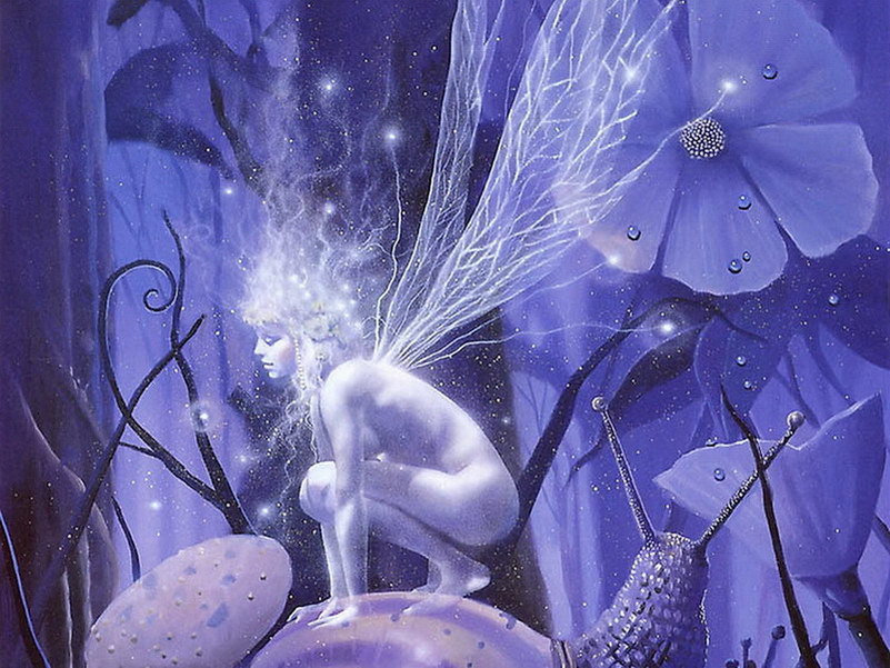 Image de Fée d'Isapierre Série A No 34 