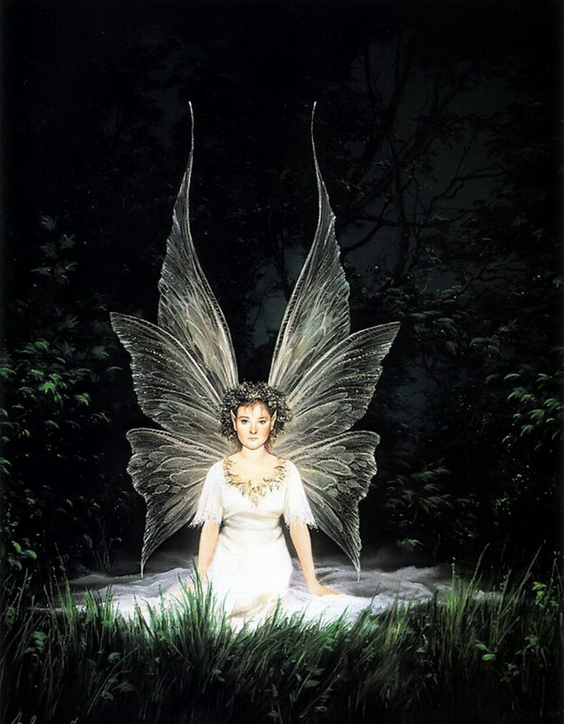 Image de Fée d'Isapierre Série A No 65 