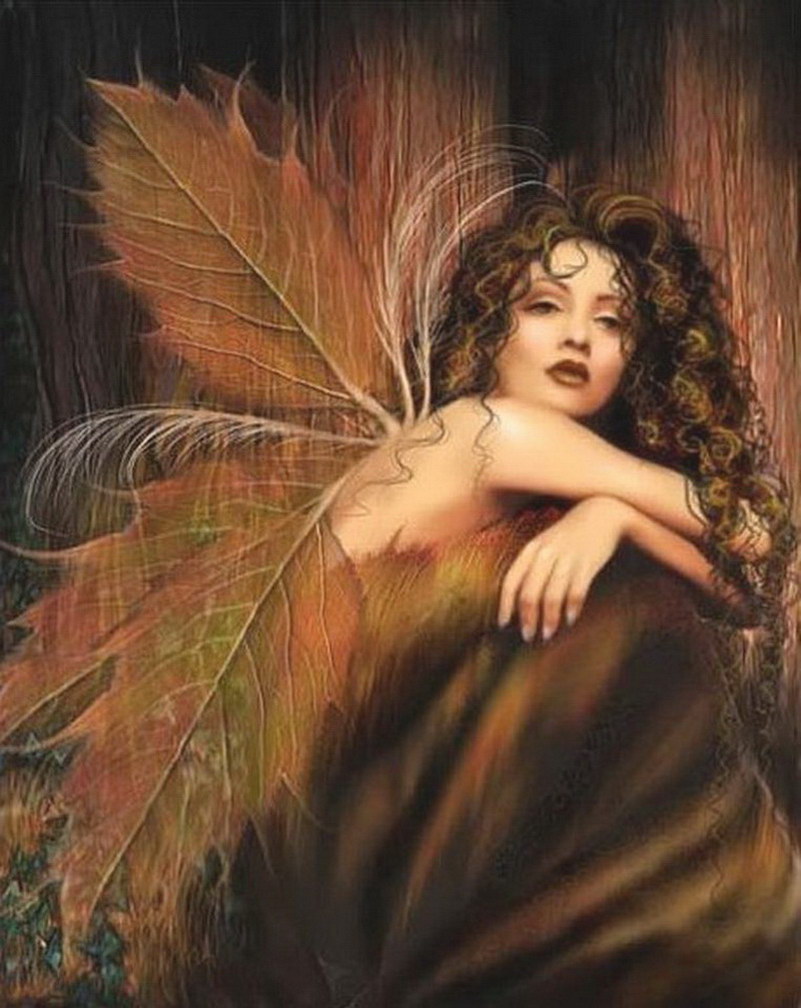 Image de Fée d'Isapierre Série A No 74 