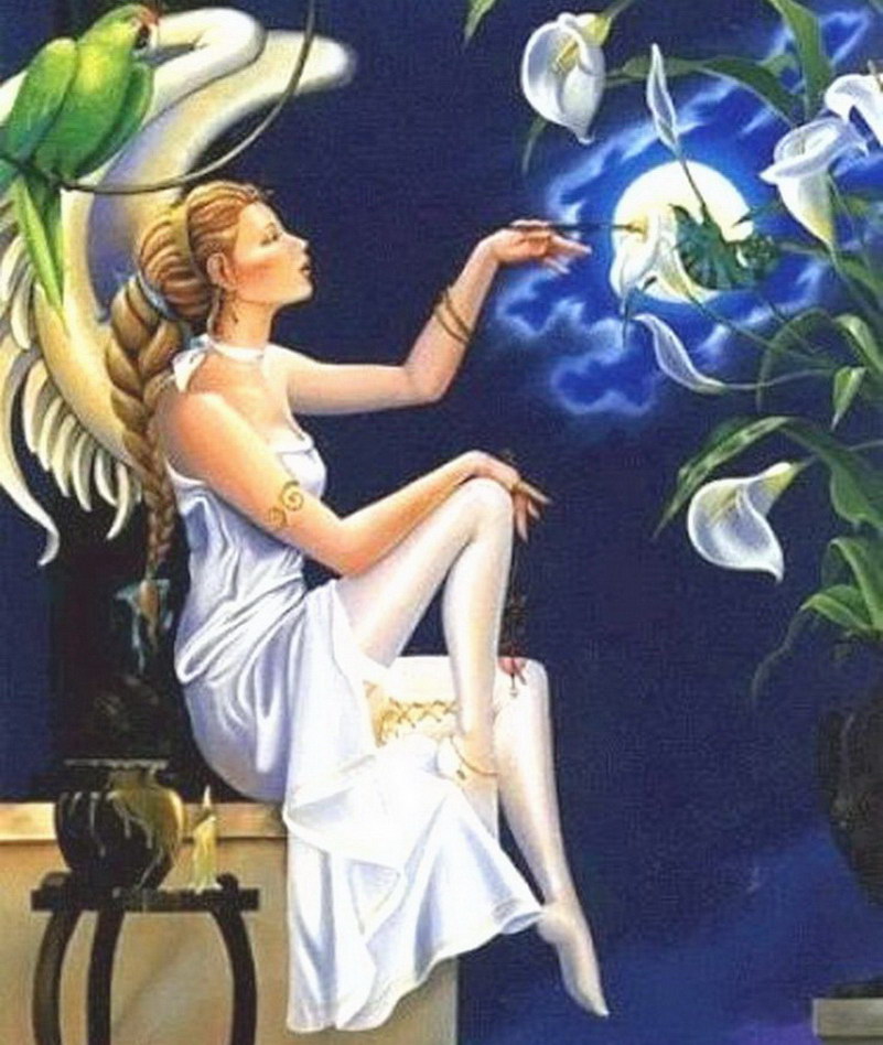 Image de Fée d'Isapierre Série A No 86 