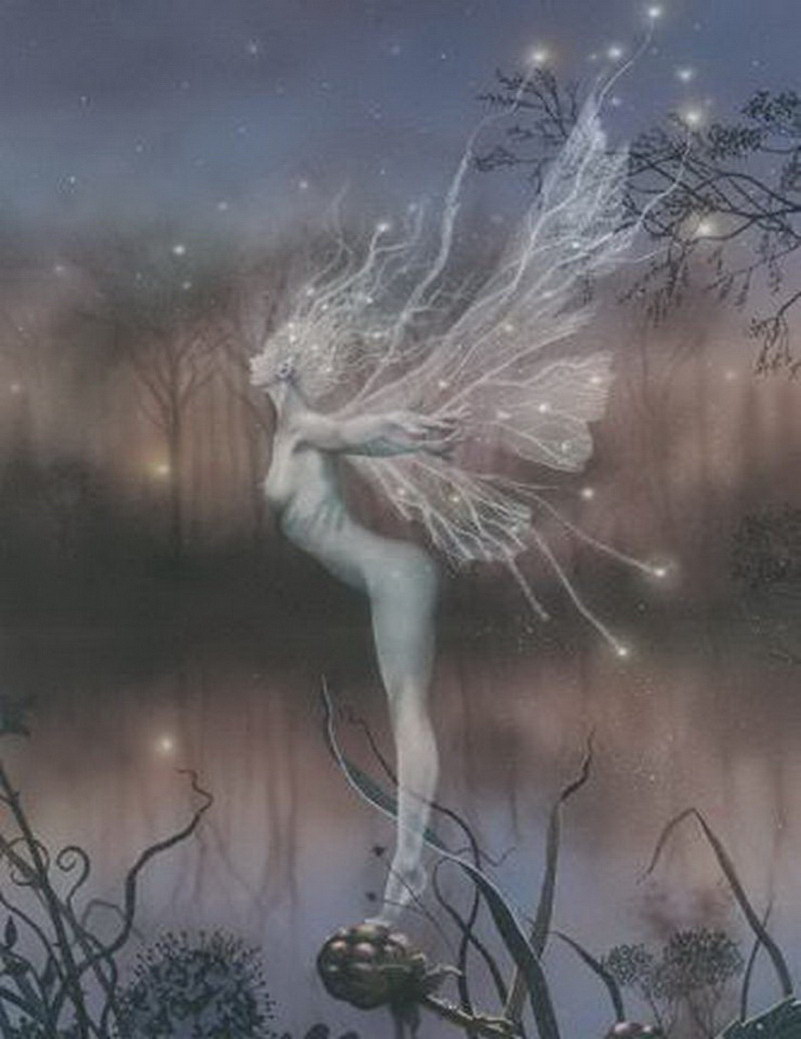 Image de Fée d'Isapierre Série A No 96 