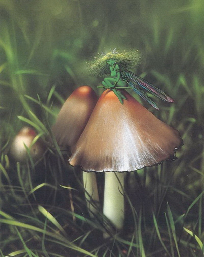 Image de Fée d'Isapierre Série A No 98 