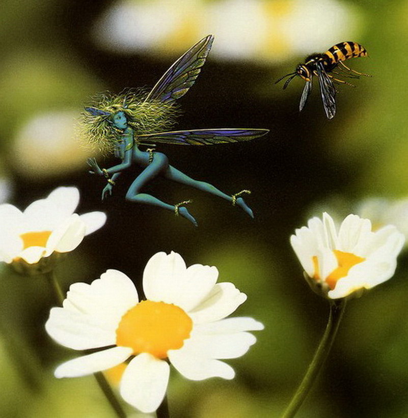 Image de Fée d'Isapierre Série A No 102 