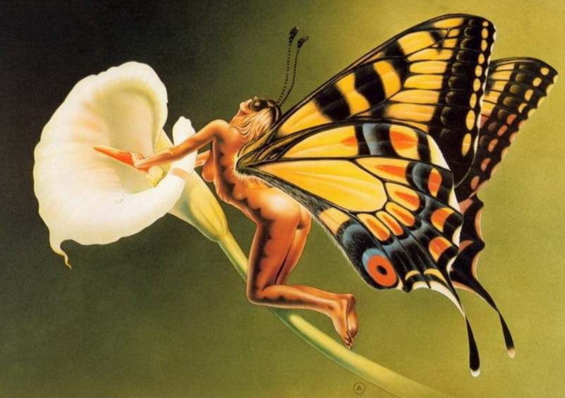 Image de Fée d'Isapierre Série B No 16 