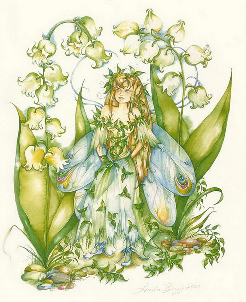 Image de Fée d'Isapierre Série B No 39 