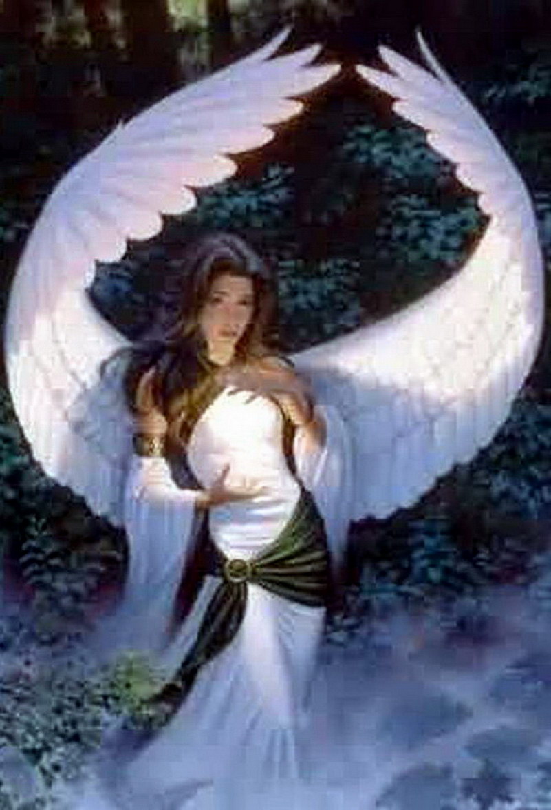 Image de Fée d'Isapierre Série B No 45 