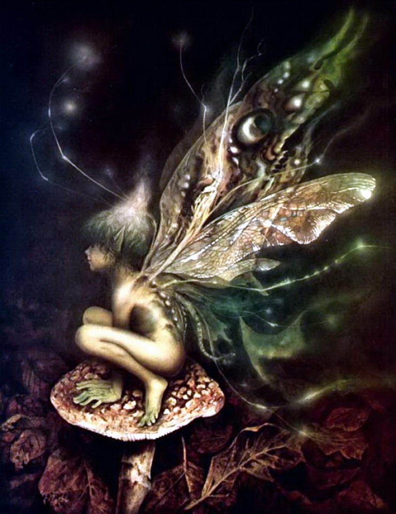 Image de Fée d'Isapierre Série B No 49 