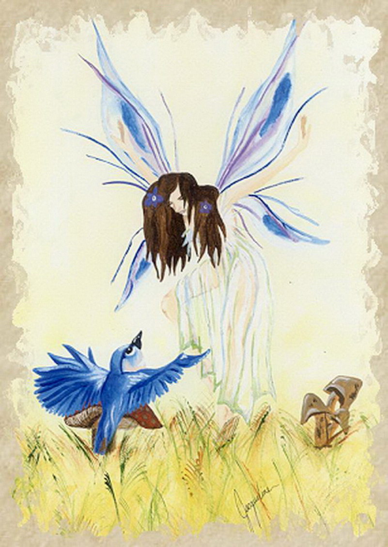 Image de Fée d'Isapierre Série B No 51 