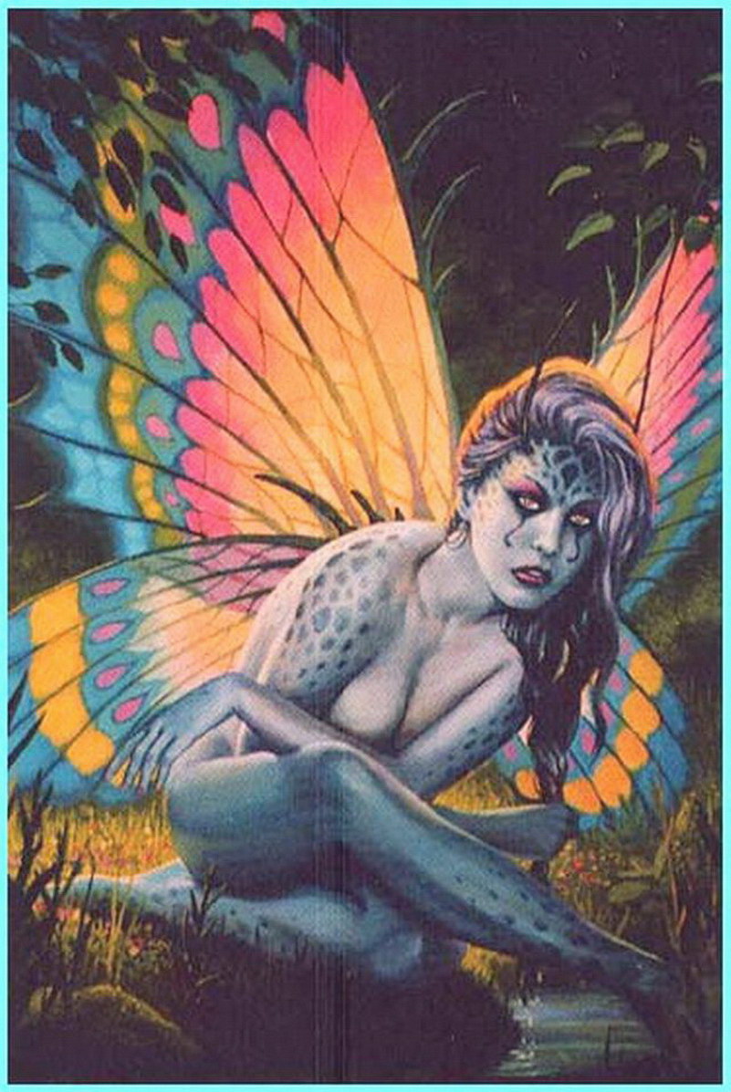 Image de Fée d'Isapierre Série B No 53 