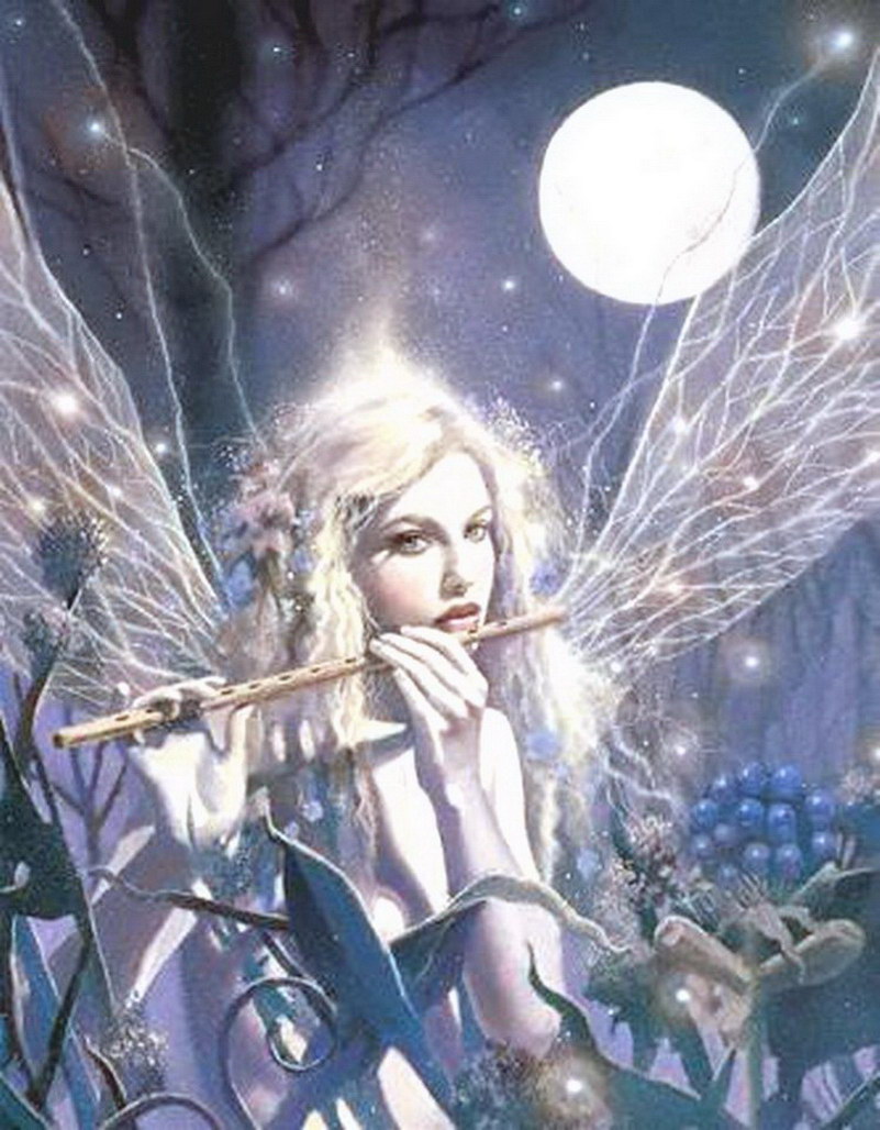 Image de Fée d'Isapierre Série B No 65 