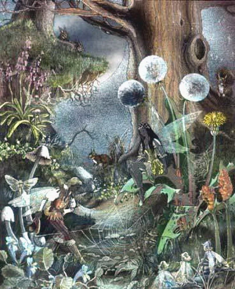 Image de Fée d'Isapierre Série B No 67 