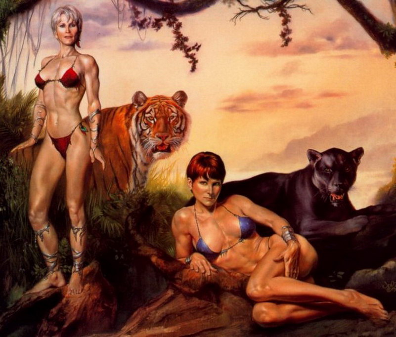 Image de Fée d'Isapierre Série B No 68 