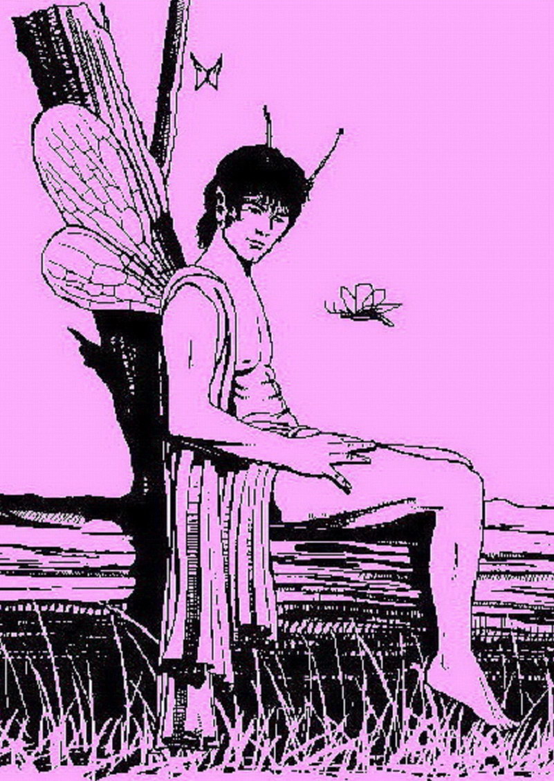 Image de Fée d'Isapierre Série B No 69 