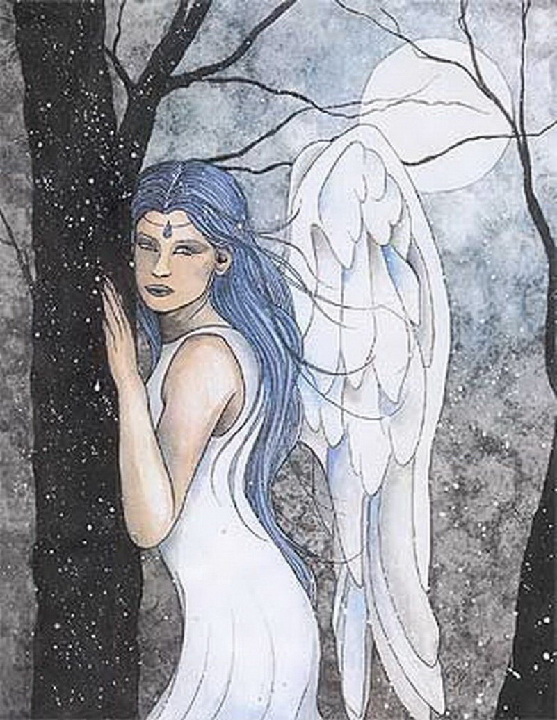 Image de Fée d'Isapierre Série B No 79 