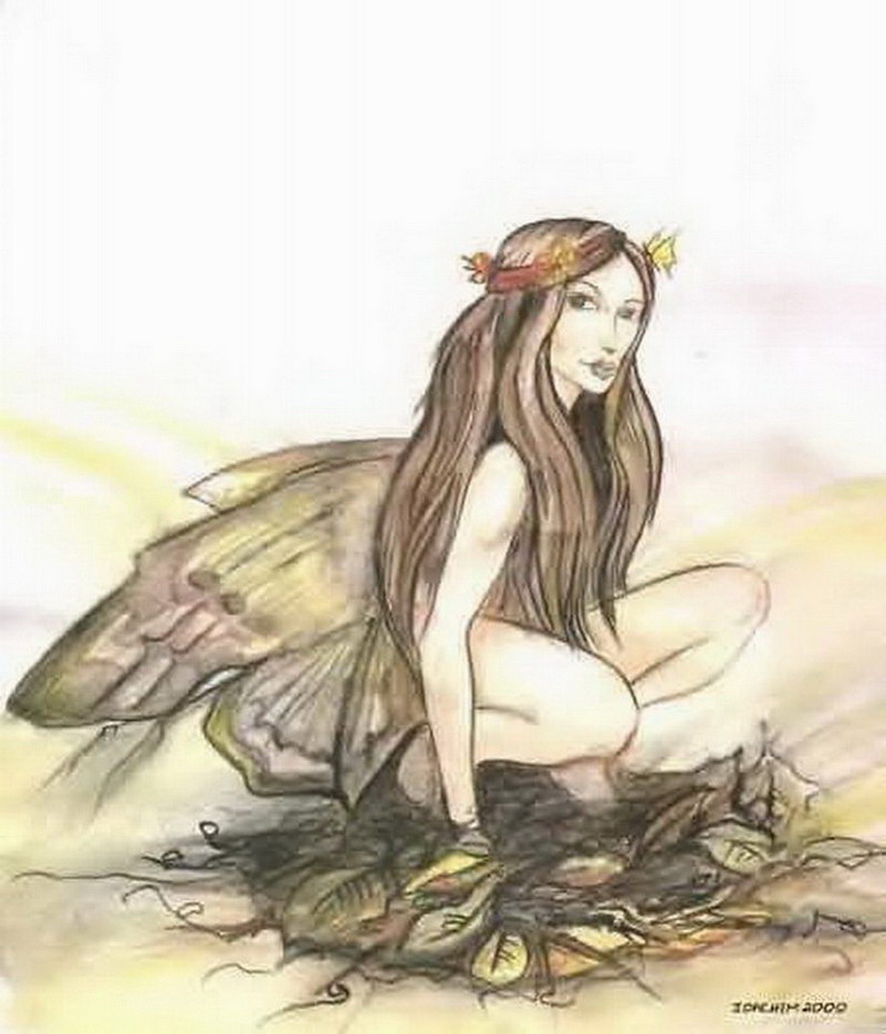 Image de Fée d'Isapierre Série B No 93 