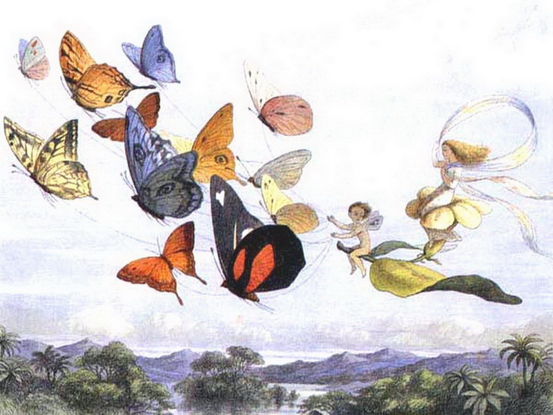 Image de Fée d'Isapierre Série C No 11 