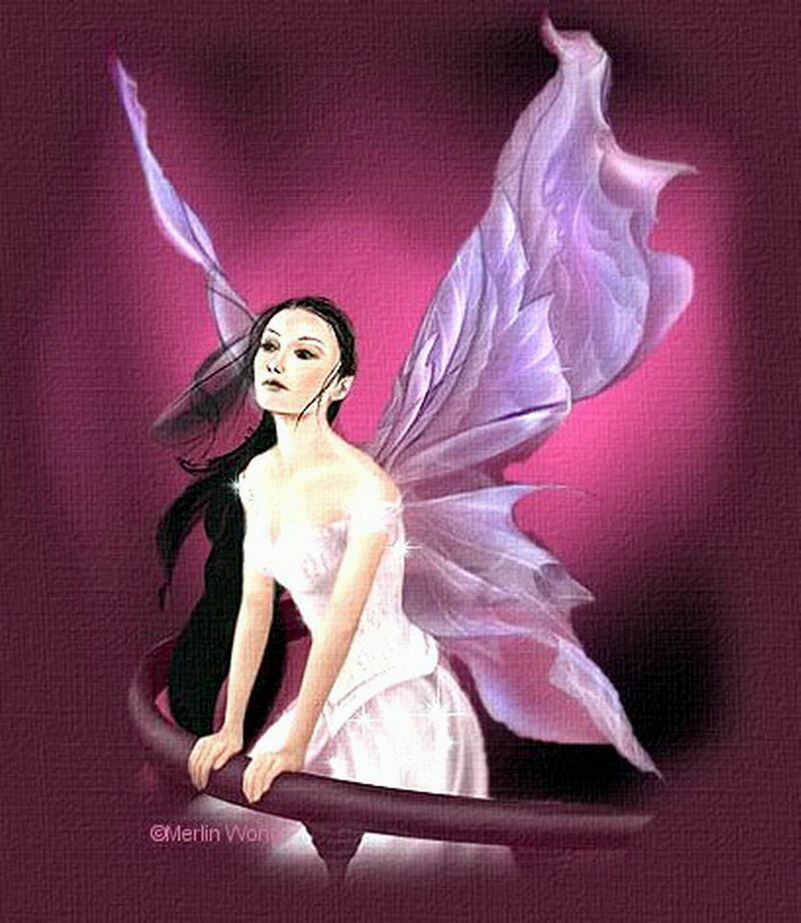 Image de Fée d'Isapierre Série C No 15 