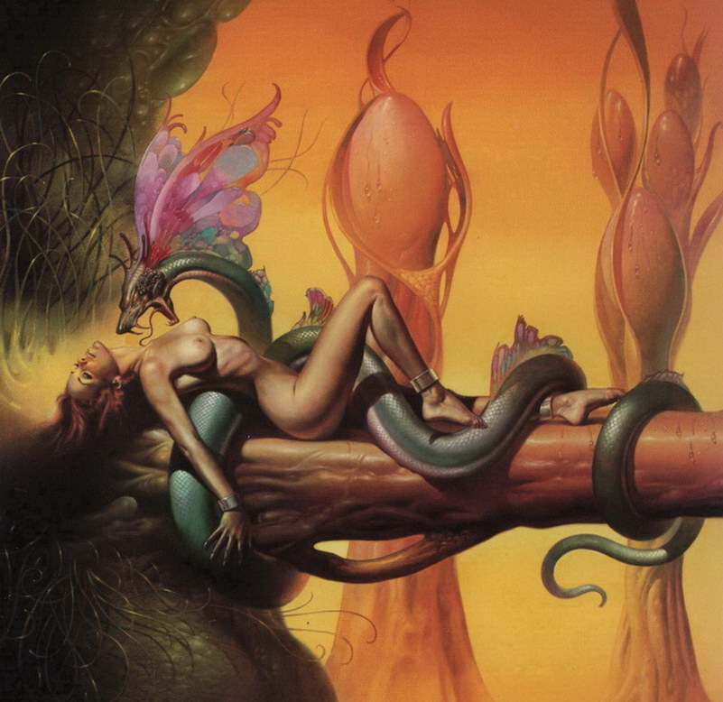 Image de Fée d'Isapierre Série C No 22 