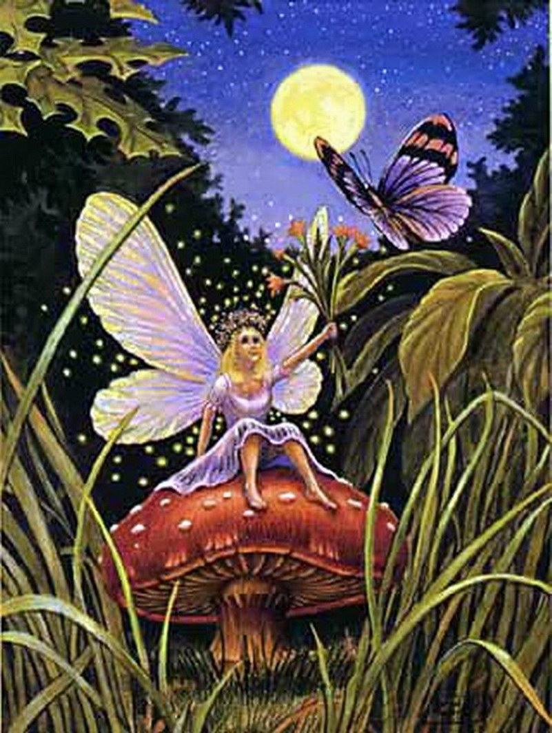 Image de Fée d'Isapierre Série C No 24 