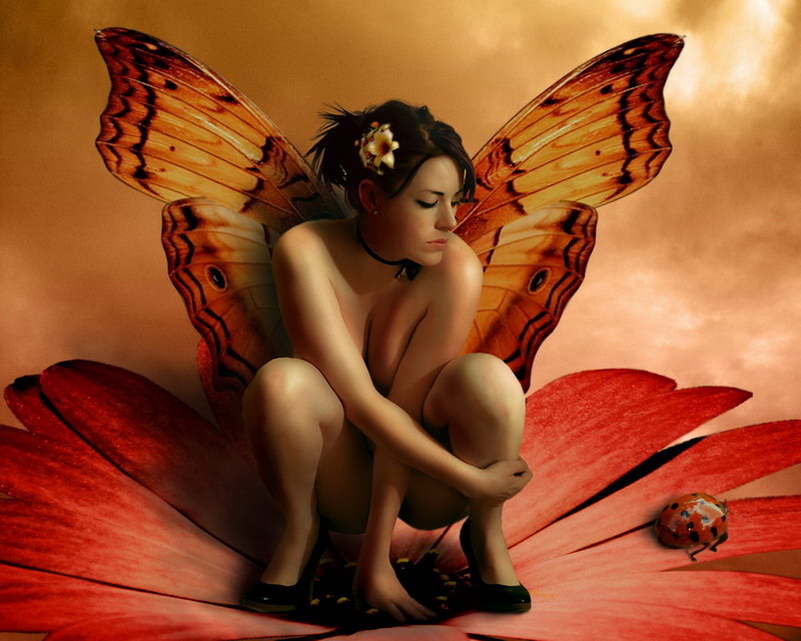 Image de Fée d'Isapierre Série C No 36 