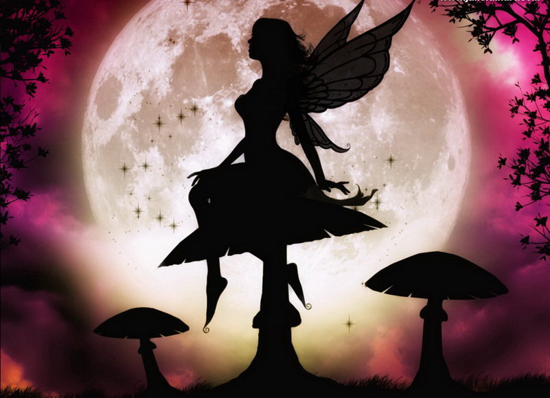 Image de Fée d'Isapierre Série C No 48 