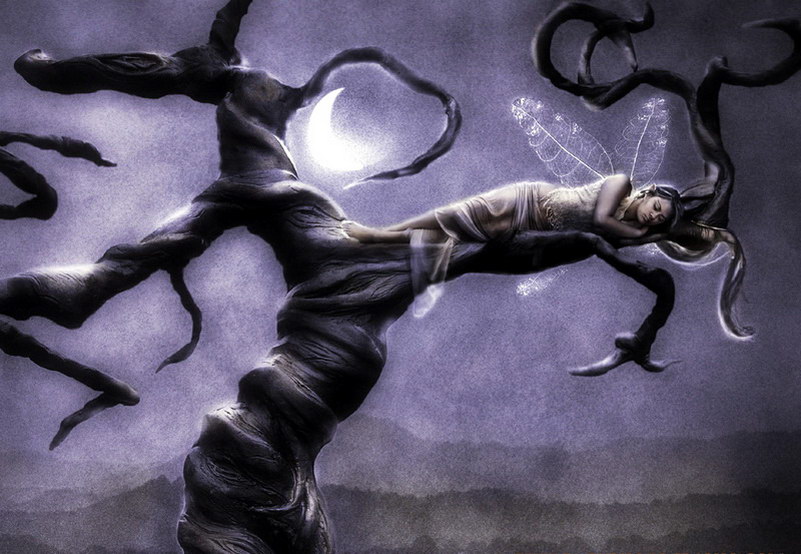 Image de Fée d'Isapierre Série C No 53 