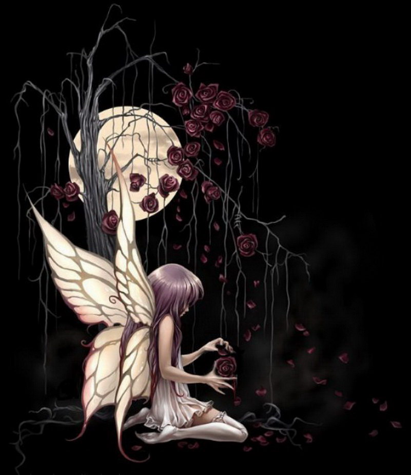 Image de Fée d'Isapierre Série C No 75 