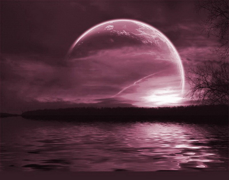 Image de Fée d'Isapierre Série C No 81 