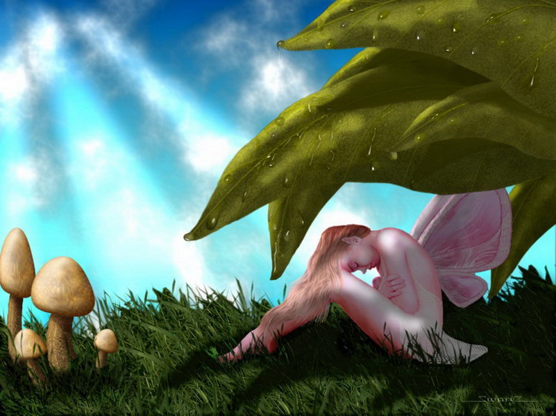 Image de Fée d'Isapierre Série C No 106 