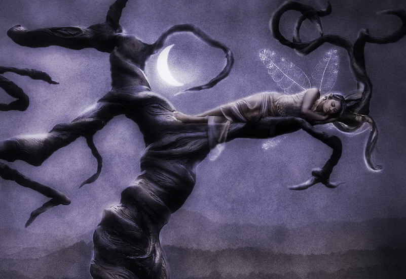 Image de Fée d'Isapierre Série D No 4 