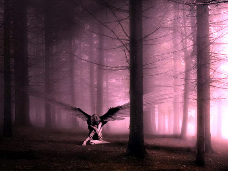 Image de Fée d'Isapierre Série D No 14 