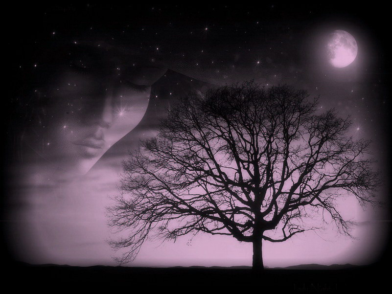 Image de Fée d'Isapierre Série D No 15 