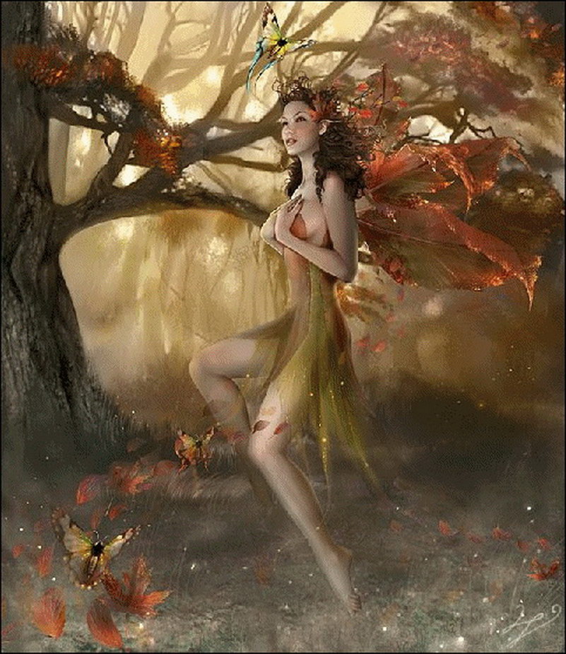 Image de Fée d'Isapierre Série D No 16 