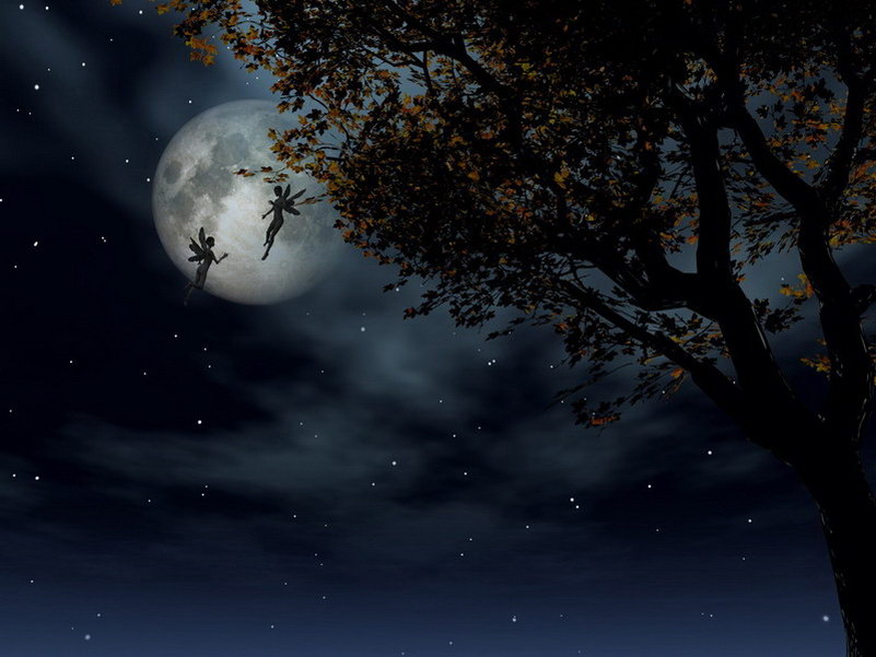 Image de Fée d'Isapierre Série D No 38 