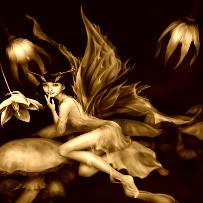 Image de Fée d'Isapierre Série D No 40 