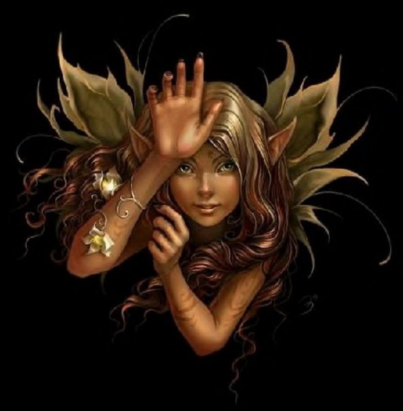 Image de Fée d'Isapierre Série D No 41 