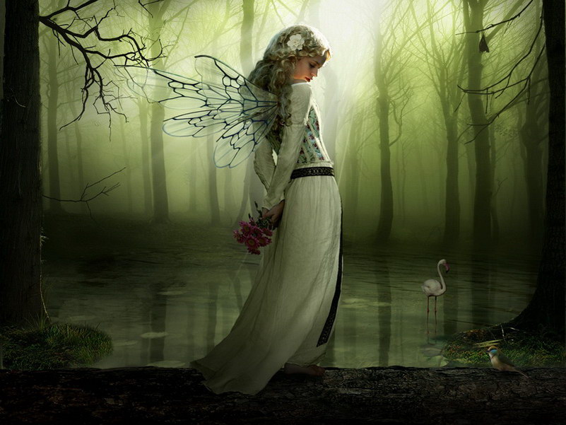 Image de Fée d'Isapierre Série D No 49 